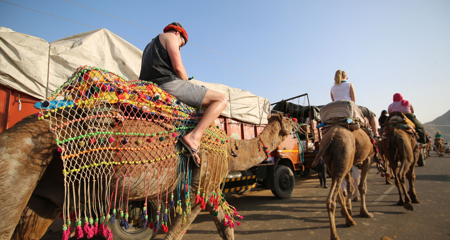 Sunset camel Safari Pushkar, Sunrise camel Safari Pushkar, Half day camel Safari Pushkar, Full day camel Safari Pushkar,Swiss tent pushkar,tent in pushkar,pushkar fair camp,desert camp pushkar,desert safari pushkar